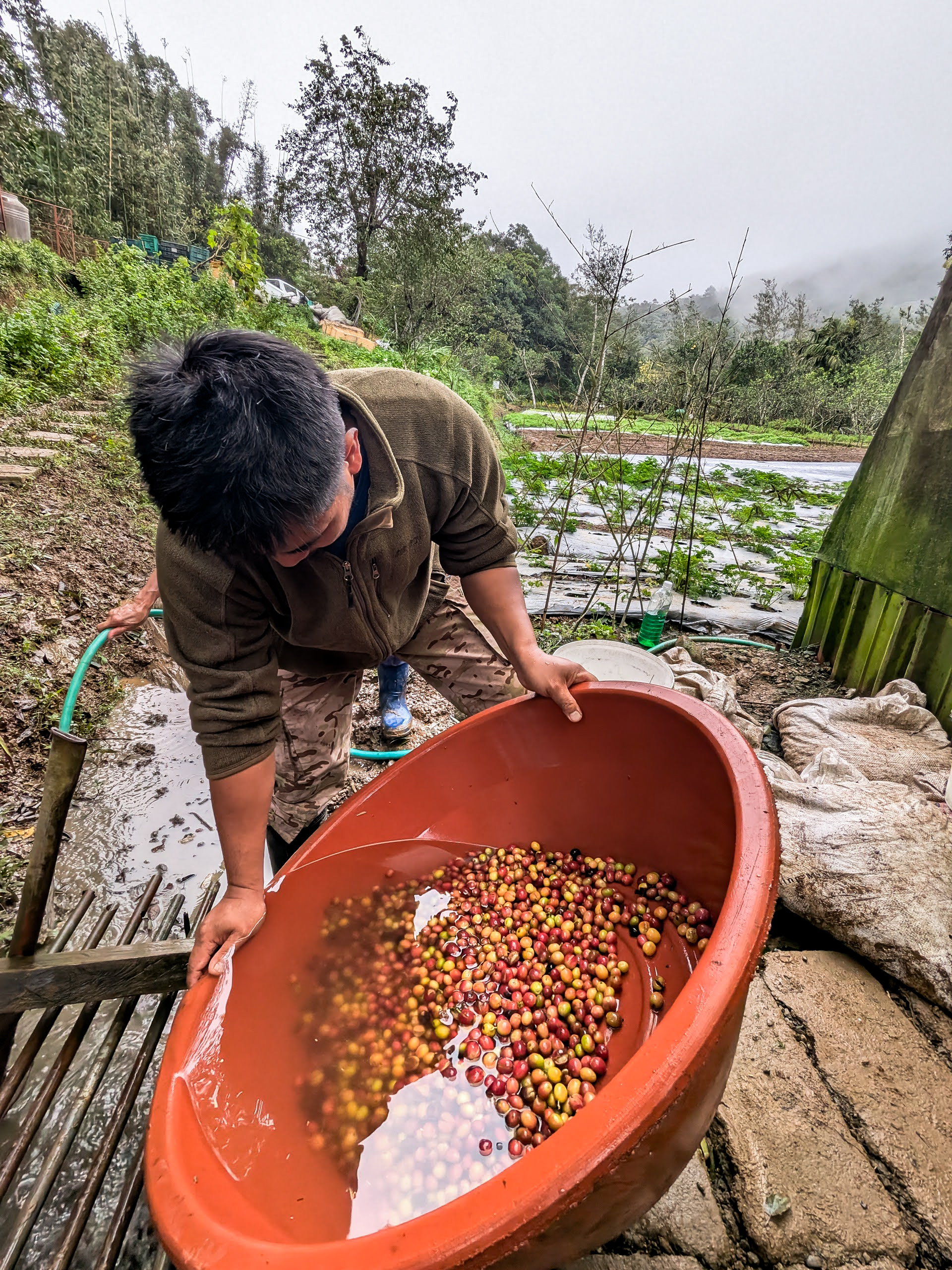 Farmers, Communities, and Sustainability: Living in the Rainforest
