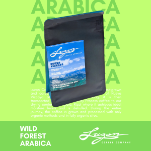 1. Honey Process (200g) - Nueva Vizcaya Arabica