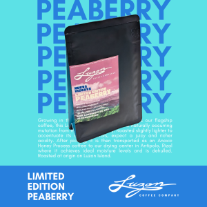 2. Peaberry (100g) - Nueva Vizcaya